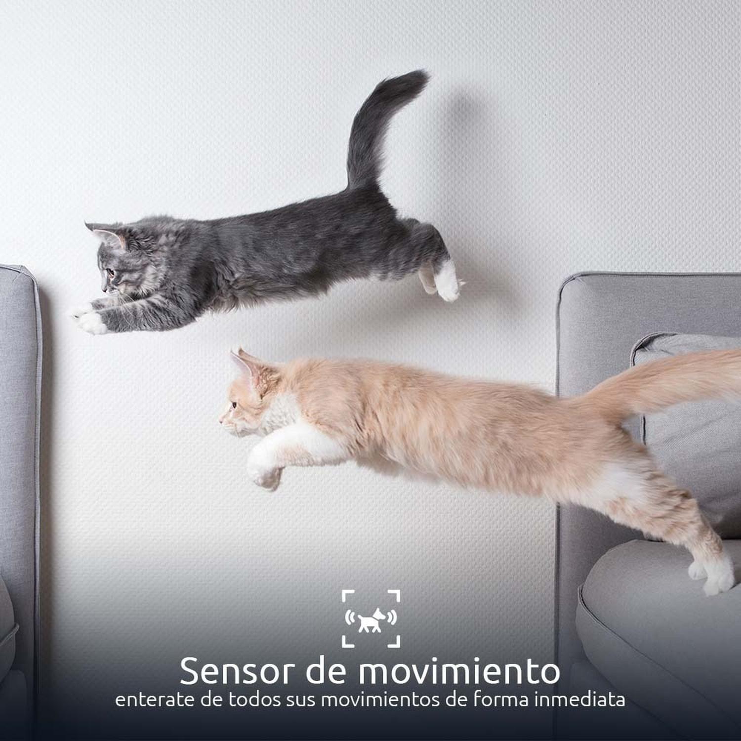 Nexxt Solutions Nha-p610 Dispensador Smart D/aliment Mascota