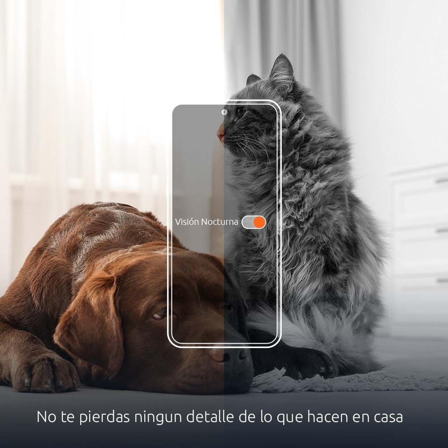 Nexxt Solutions Nha-p610 Dispensador Smart D/aliment Mascota