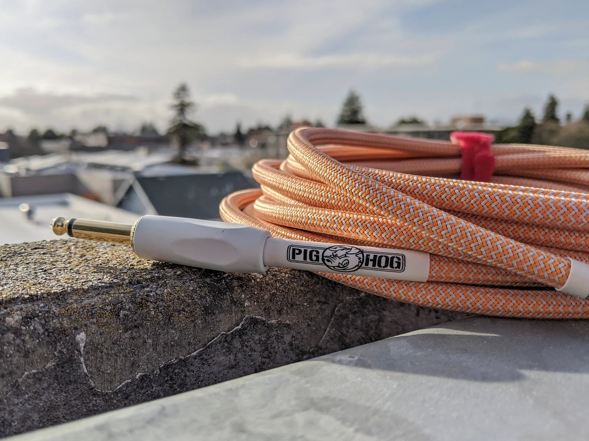 Pig Hog Pch102ocr Orange Creme 2.0 Guitar Bass Cable 10ft