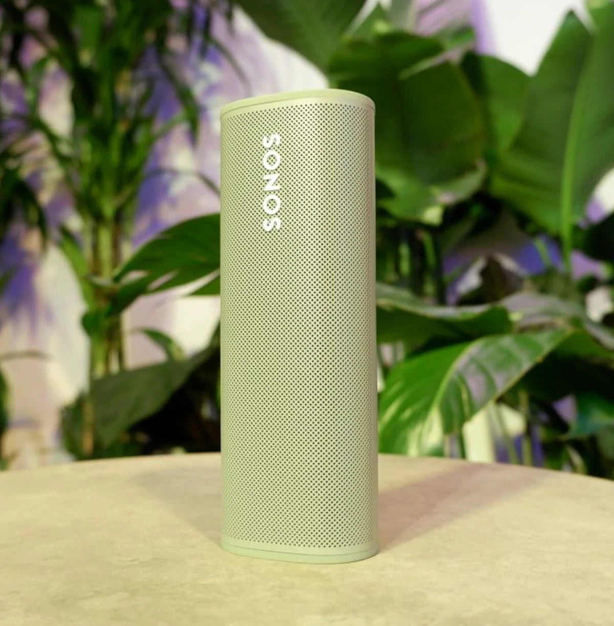 Bocina Inteligente Aprueba De Agua Sonos Roam Verde